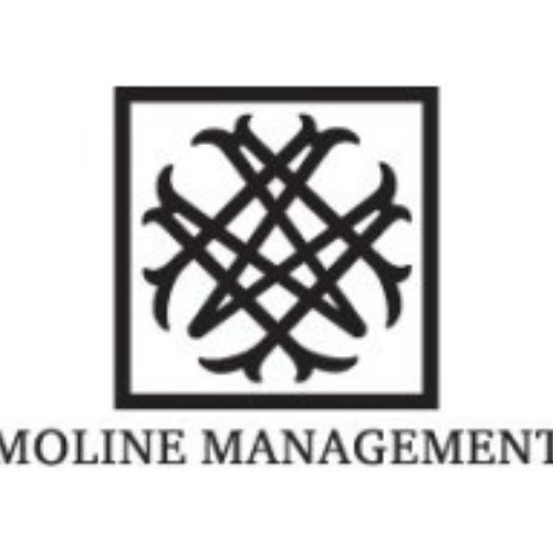 Moline Investment Management