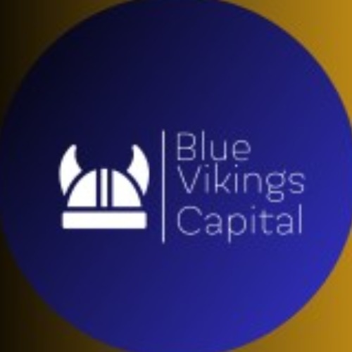 Blue Vikings Capital