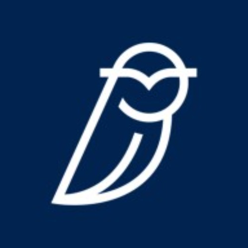 Blue Owl Capital