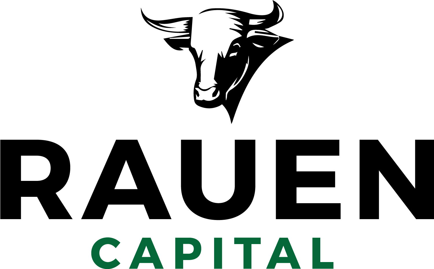 Rauen Capital Cash Flow Fund