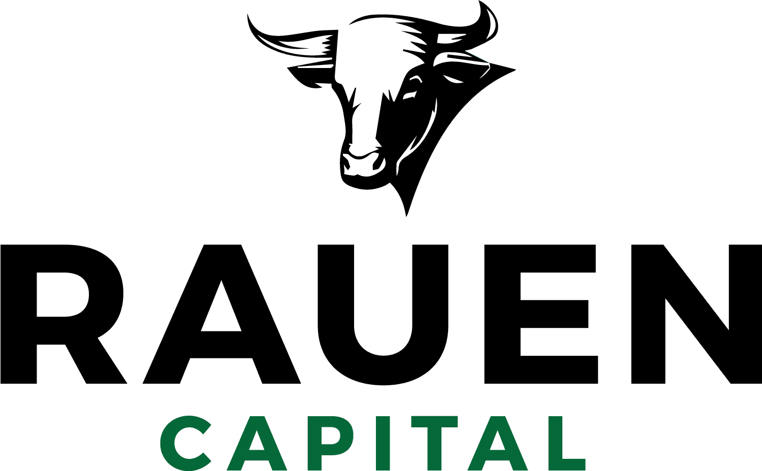 Rauen Capital Cash Flow Fund