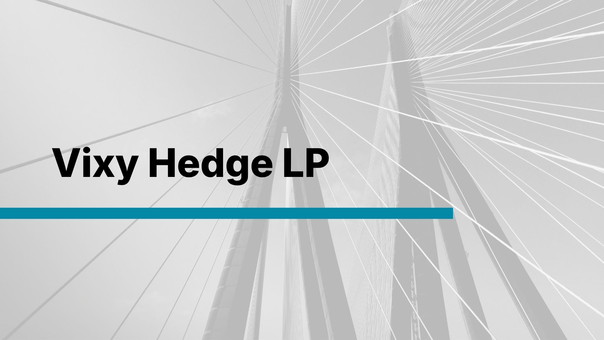 Vixy Hedge LP